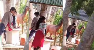 Tamil College Lovers Fucking In Park